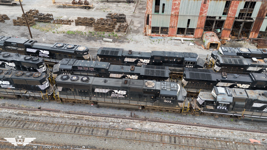 NS 1803